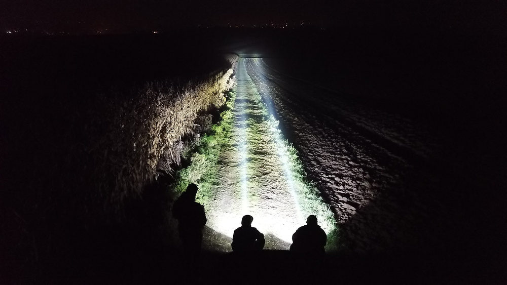 Halogeny led Monster DX-145 2 sztuki