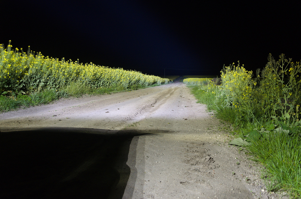 Halogeny dalekosiężne 7 cali D7-240-C DRL 2 sztuki